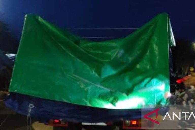 WhatsApp-Image-2025-01-13-at-14.06.07