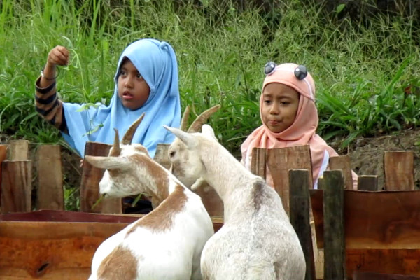 MENGUNJUNGI-KANDANG-KAMBING-ESTETIK-DI-JEMBER.jpg