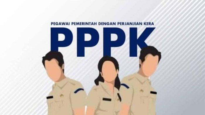 Begini-Cara-Cek-Nama-Honorer-di-Database-BKN-Agar-Masuk-Prioritas-Lulus-PPPK-2024.jpg
