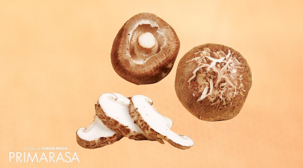 jamur shiitake.jpg