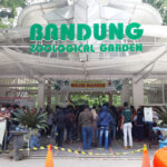 Tiket-Masuk-Kebun-Binatang-Bandung.jpg