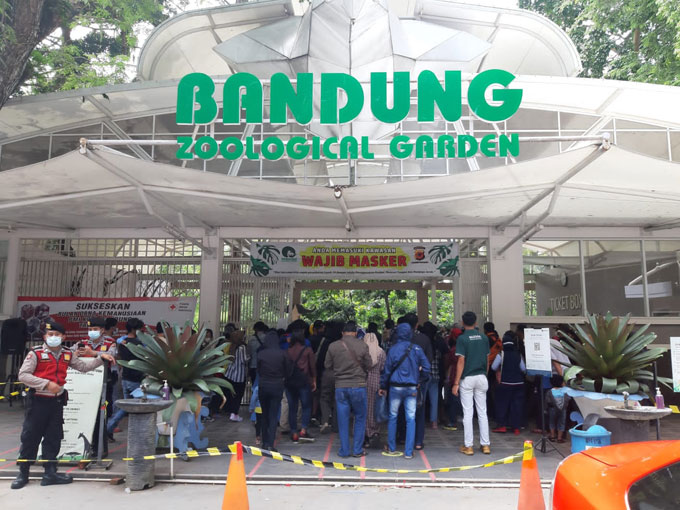 Tiket-Masuk-Kebun-Binatang-Bandung.jpg