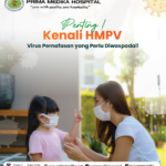 header-image-of-penting-kenali-virus-hmpv-virus-pernapasan-yang-harus-diwaspadai-at-prima-medika-hospital-sr8.png