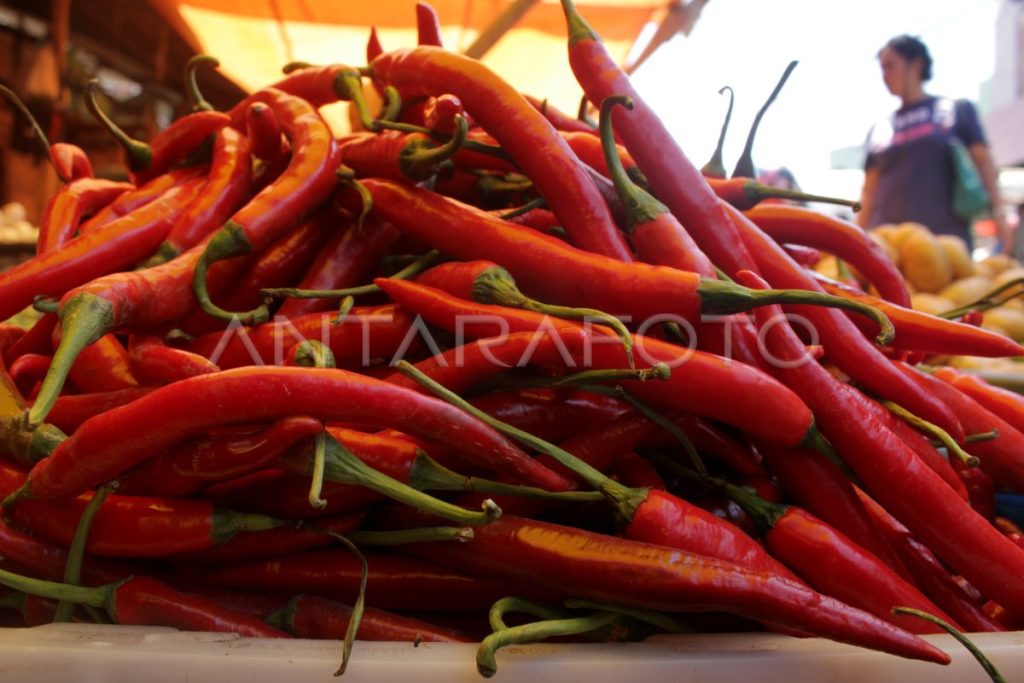 harga-cabai-merah-jelang-idul-adha-lebk-dom.jpg